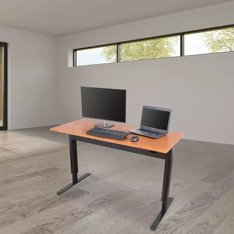 Stand Up Desk Store Pneumatic Adjustable Height Standing Desk Computer Workstation
